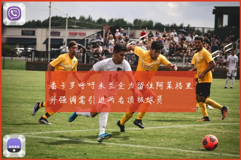 潘卡罗呼吁米兰全力留住阿莱格里并强调需引进两名顶级球员