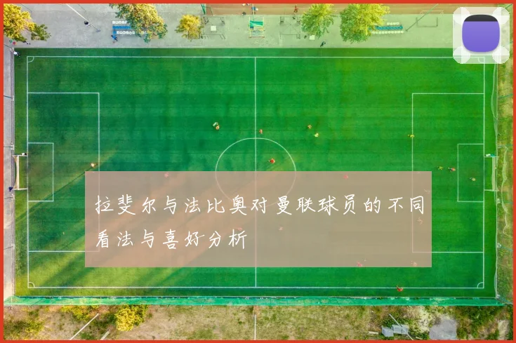 拉斐尔与法比奥对曼联球员的不同看法与喜好分析
