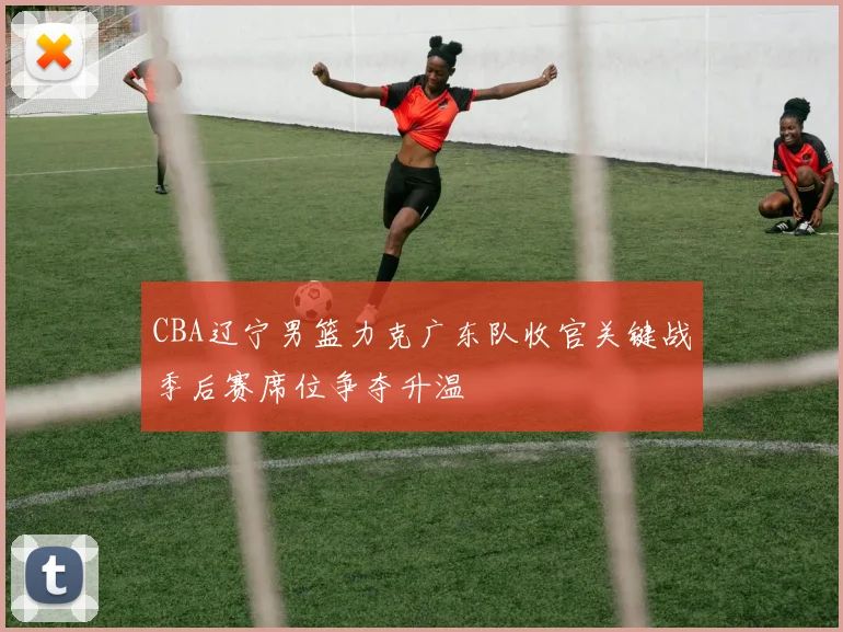 CBA辽宁男篮力克广东队收官关键战季后赛席位争夺升温