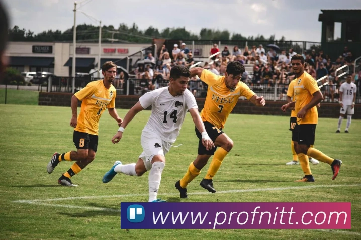 App Interface Preview